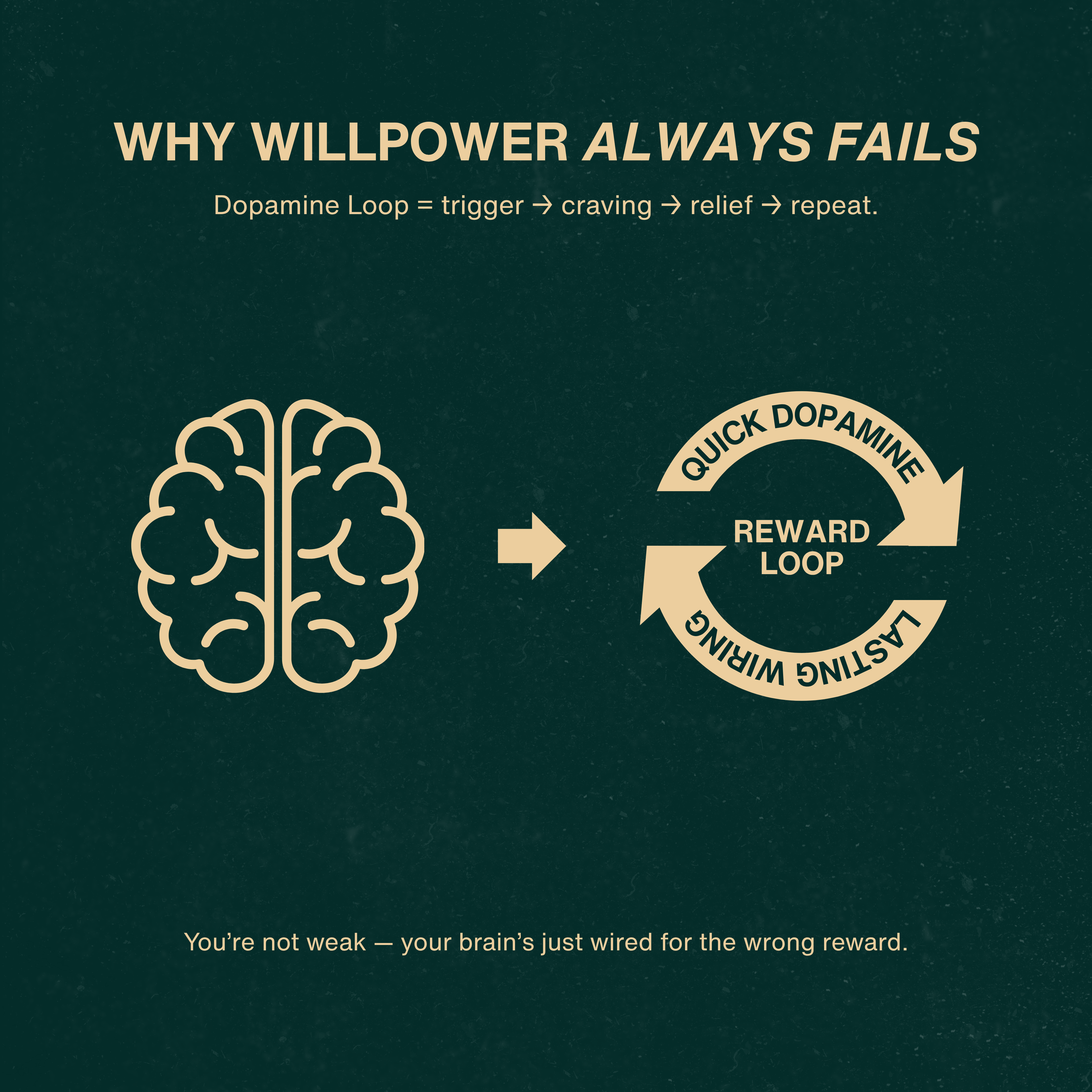 The Effortless Escape Ebook