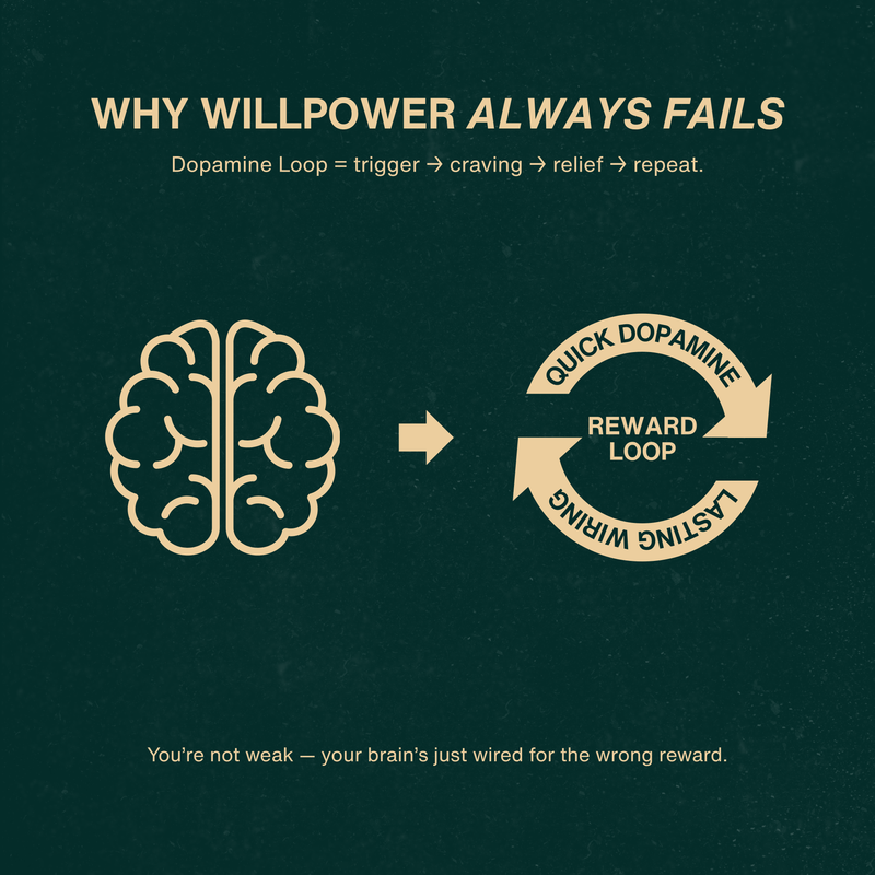 The Effortless Escape Ebook